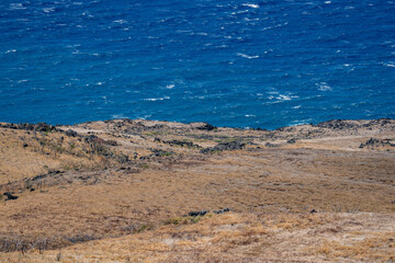 Basalt lava flows. Hana Volcanics ( Basanite of Puu Pane ). Hawaii Route 31 ( Pi'ilani Highway ), Maui, Hawaii. Haleakalā, or the East Maui Volcano, is a massive, active shield volcano.