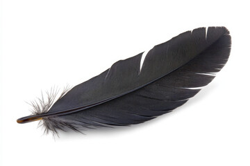 Black feather floating isolated white background, showcasing its delicate structure and smooth texture, evokes sense