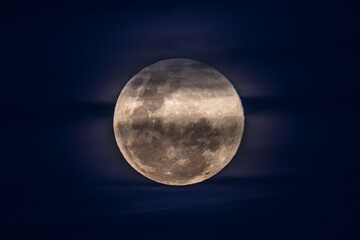 November's 'Beaver' Full Moon Supermoon Rising in the Twilight Eastern Sky