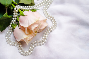 The branch of pink rose on white fabric background
