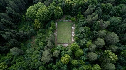 Aerial view of enigmatic forest-shrouded football field, evoking Woodland Faeries' Cup and Arbor Day enchantments in verdant seclusion