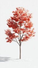 Fototapeta premium tree in winter