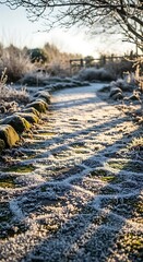 Path through a frost covered garden during daytime with sunlight and nature elements