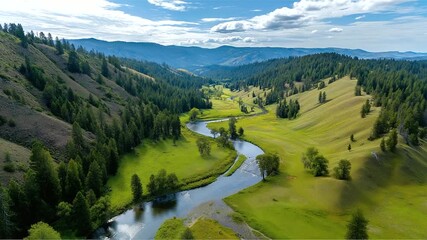 Aerial view of winding river through green valley, organic geometry, calm natural palette, timeless landscape.