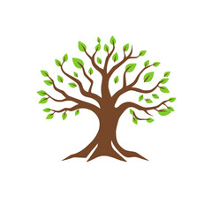A stylized illustration of a tree with brown trunk and green leaves, isolated.