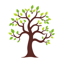 Fototapeta premium Stylized tree illustration with brown trunk and branches, adorned with vibrant green leaves, isolated on a white background.