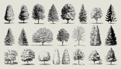 様々な種類の木々が描かれた、手書き風のベクターイラスト集です。