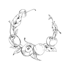 Sweet sour line cherry with plant leaves, hand drawn vector ink, ripe garden berry in group clusters on branches. Wreath circle frame illustration for cafe menu, restaurant, wedding, farmers market.