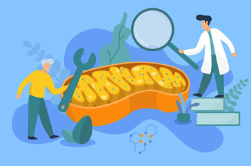 old man and doctor trying to repair mitochondria
