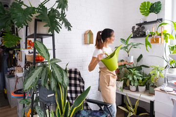 A woman waters home plants from her collection of rare species from a watering can, grown with love on shelves in the interior of the house. Home plant growing, green house, water balance © Ольга Симонова