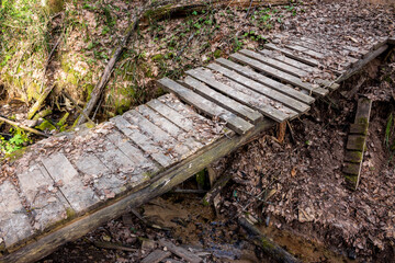 Fototapeta premium Weathered wooden footbridge spans a gentle forest creek, adorned with dry leaves. It beckons a quiet journey into nature's wild embrace, a forgotten path