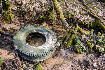 Grungy, discarded car tire half-submerged in a muddy forest creek, symbolizing environmental pollution and neglect. A bleak contrast of human waste amidst natural decay