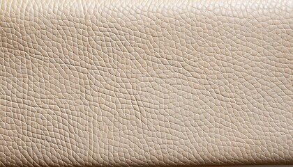 Ivory Leather Texture For Vintage Book Covers Graphic Design Branding Backgrounds Seamless Distressed Wrinkles High Resolution Realistic