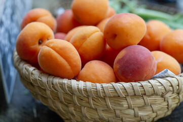 Frische Aprikosen beim Obsthändler