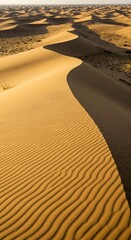 Golden Sand Dunes Under a Vast Sky.