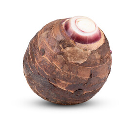 Taro isolated on transparent png