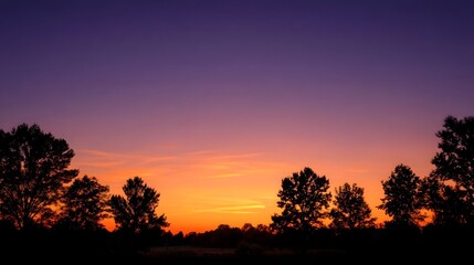 Fototapeta premium Vibrant sunset paints the sky in purple and orange hues silhouetting a line of trees