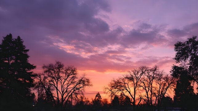 A vibrant sunset paints the sky with orange and purple hues silhouetting bare trees