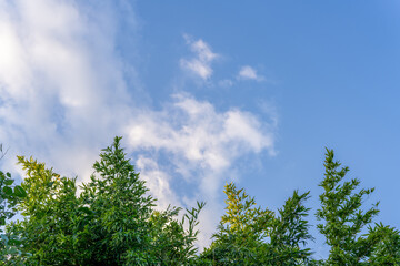 秋の青空と白い雲