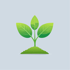 Young plant growing from soil against a neutral background