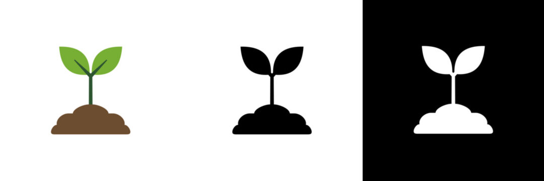 A young plant sprouting from soil, depicted in color, black, and white — symbolizing new beginnings, life, and sustainability.