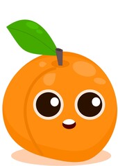 vector illustration of an orange fruit