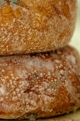 A vertical close-up of two stacked, round bread loaves. The crusts are covered in blue-green Penicillium mold and white spots, indicating food spoilage.