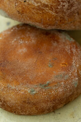 A vertical close-up of a round, stale pia pastry. Its golden-brown crust is covered in spots of blue-green Penicillium mold, indicating food spoilage.