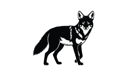 Vector illustration of black silhouette of a coyote standing