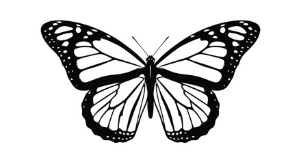Vector illustration of monarch butterfly illustration