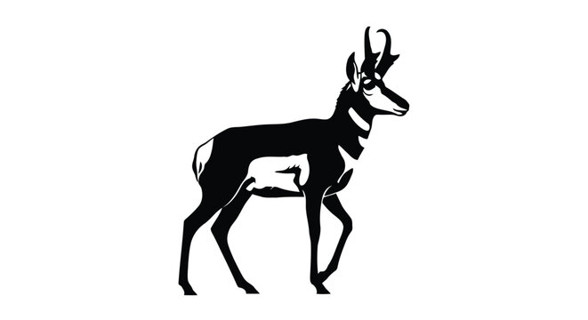 Vector illustration of black silhouette of a pronghorn antelope