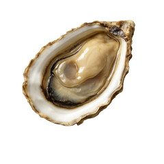A detailed close-up of a single raw oyster presented on its half shell. The oyster's translucent meat is visible within its pearly, natural interior