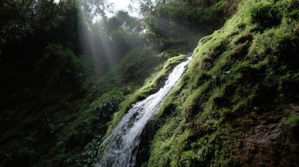A mystical forest waterfall whispers secrets of verdant renewal, embracing Earth Day's tranquil green sanctuary and hidden magic