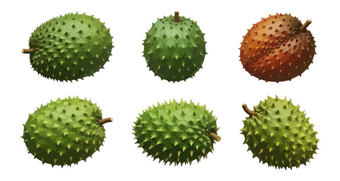 Assortment of soursop fruits isolated on black background