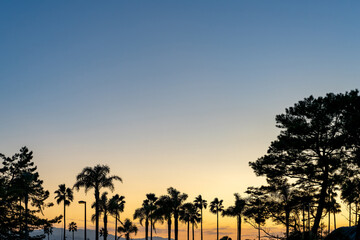 夕暮れの空と木のシルエットと夕焼け