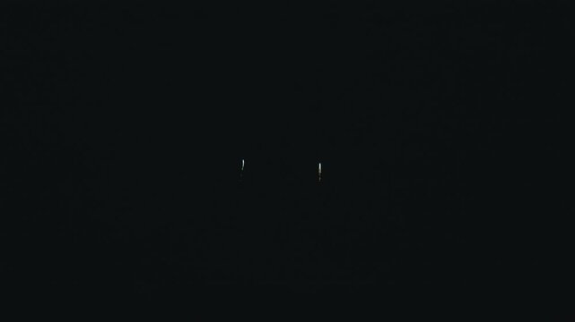 音楽花火 ワイドミュージックスターマイン 音無し Music Fireworks Wide Music Starmine No Sound 