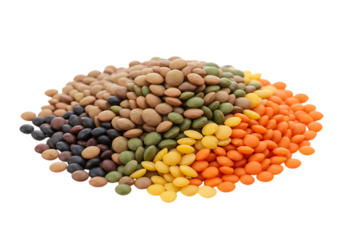 A colorful assortment of lentils including red yellow green and brown varieties isolated on transparent background