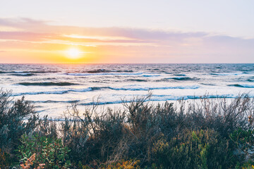 Scenic sunset over Henley Beach with native coastal vegetation, South Australia