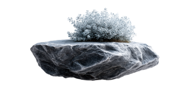Rough Stone with Sparse Foliage Floating Against White