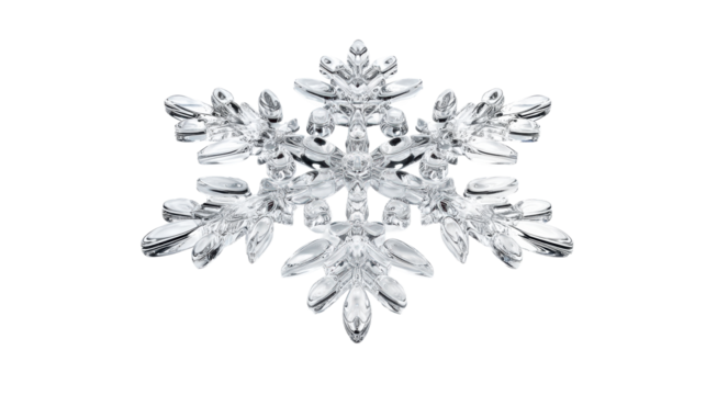 Transparent Snowflake Detail