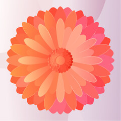 Vibrant orange daisy flower illustration graphic design on gradient background