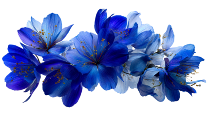 Cluster of Deep Blue and Light Blue Flowers with Yellow Stamens
