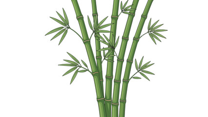 Fototapeta premium Illustration of green bamboo stalks with leaves