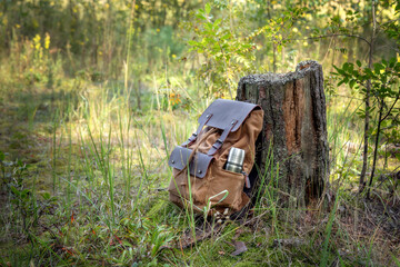A tourist backpack with a thermos in a pocket near a stump in the forest at a rest stop