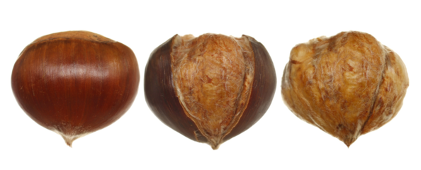 Set fresh raw peeled and unpeeled chestnut isolated on white background, clipping path	