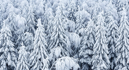 Aerial view of a dense forest covered in fresh white snow during the winter season in the mountains ai generated