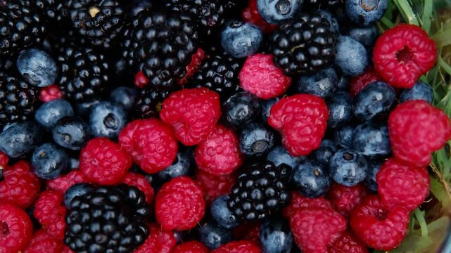 Close-up of a glass bowl filled with fresh raspberries, blueberries, and blackberries placed on green grass. Concept of healthy eating, summer freshness, and organic food. 4k horizontal footage