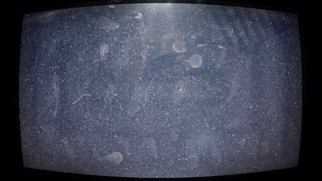 Close-up photo of an old CRT monitor screen showing visible dust, fingerprints, and pixel noise. The curved display and analog texture create a nostalgic, glitchy aesthetic reminiscent of vintage tech