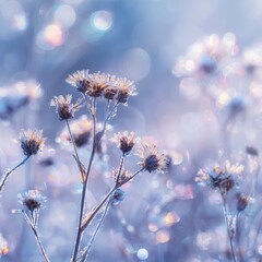 Fototapeta premium Frozen Wildflowers Sparkling in Winter Sunlight