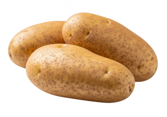A closeup studio shot of three raw, whole russet potatoes with brown skin and small eyes, isolated on a transparent background